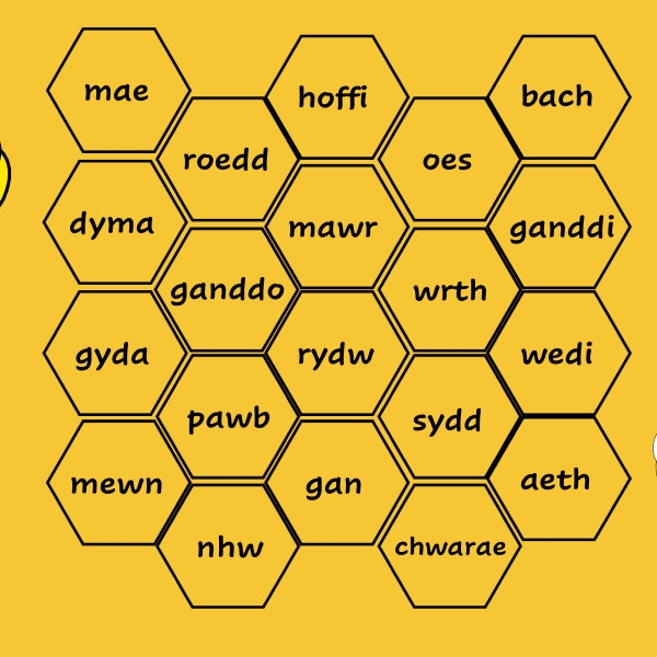 Beehive game - Key words and double letters